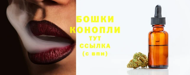 бошки Володарск