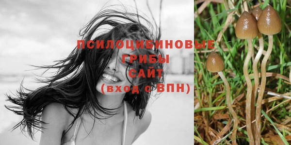 не бодяженный Волосово