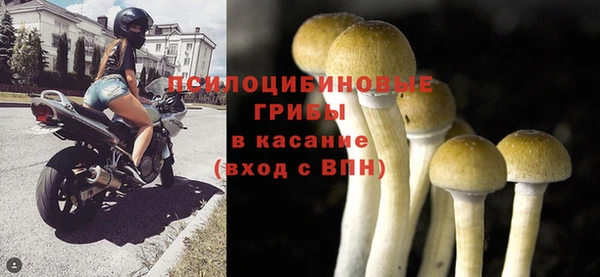бошки Володарск