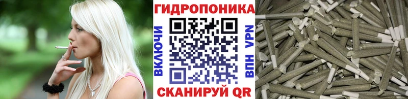 Конопля конопля  Чебоксары 